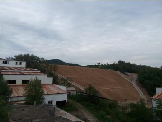 13213131.jpg 13213131.jpg